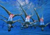 爱游戏入口_国羽新星闪耀国际赛场，力克强敌斩获冠军